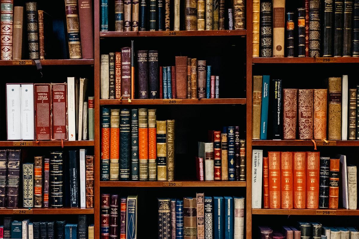 Quiet library stacks suggesting independent research and judgement